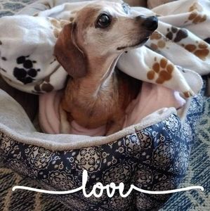 Meet your Posher, Susan